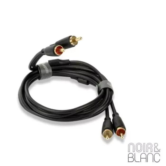 Câble RCA QED Connect Audio 