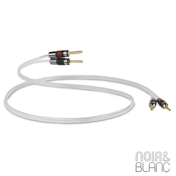 Câble haut-parleurs QED Reference Silver Anniversary XT Speaker Cable