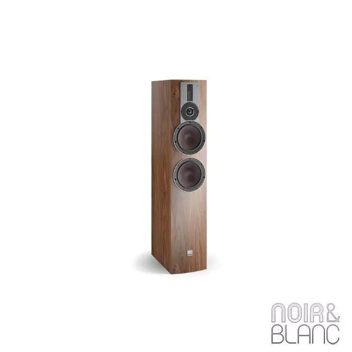 Enceinte colonne Dali Rubicon 6