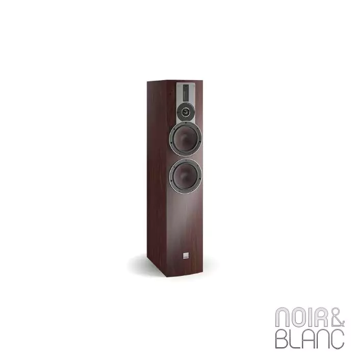 Enceinte colonne Dali Rubicon 6