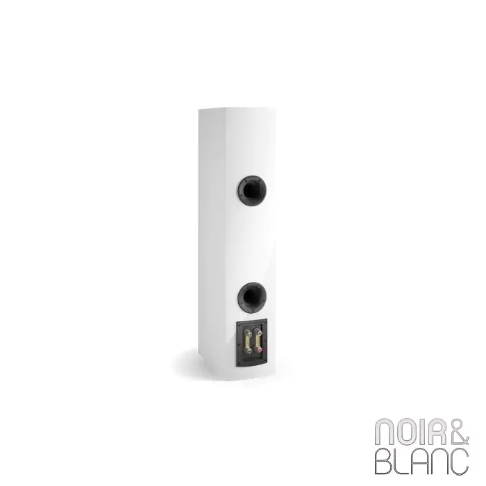 Enceinte colonne Dali Rubicon 6