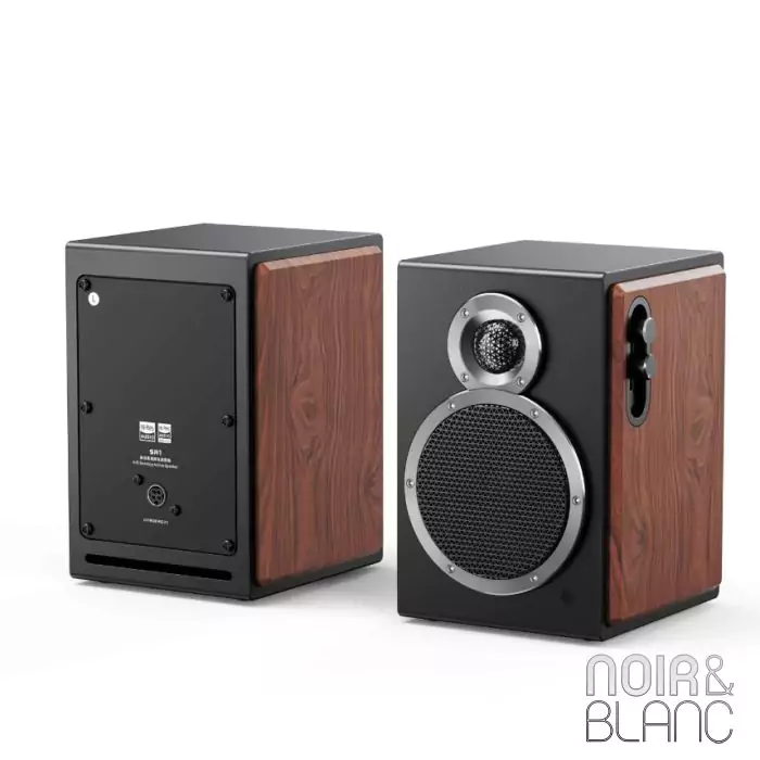 Fiio SA1