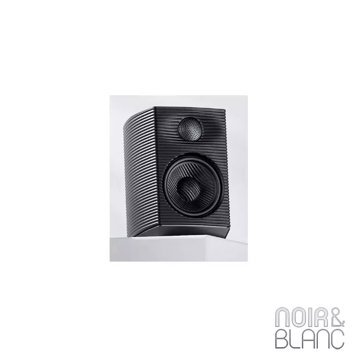Enceintes actives Fiio SP3 Black