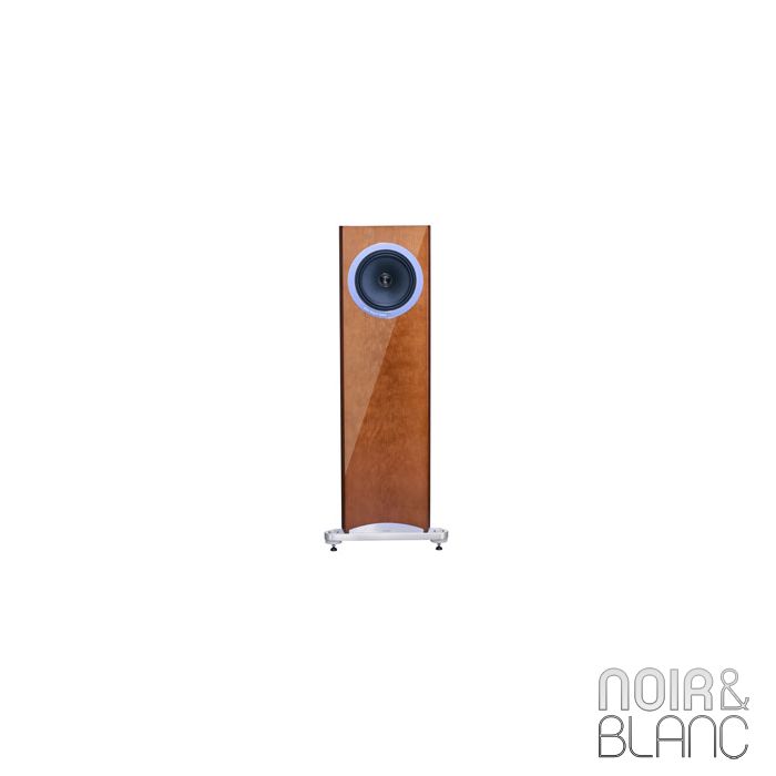 Tannoy Definition DC10A main product photo