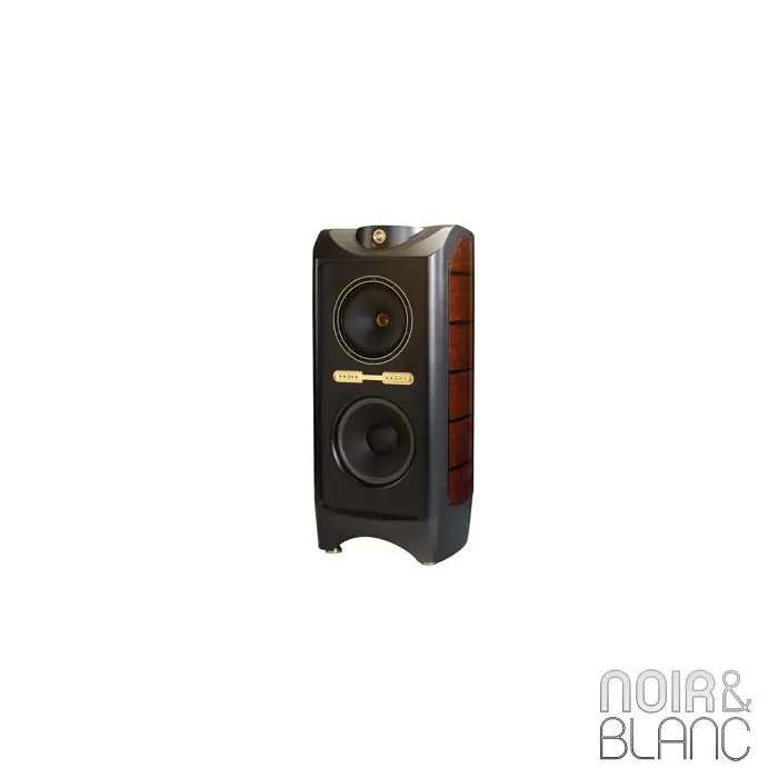 Enceintes colonne Tannoy Kingdom Royal mkII
