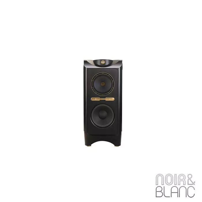 Enceintes colonne Tannoy Kingdom Royal mkII