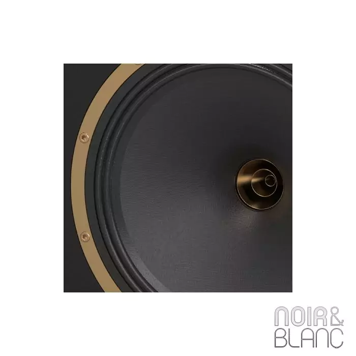 enceintes bibliothèques tannoy legacy eaton