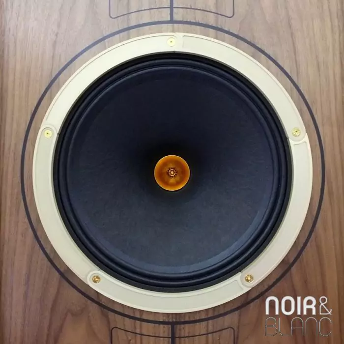 Caisson De Basse Tannoy – Enceinte Active Filaire, Occasion