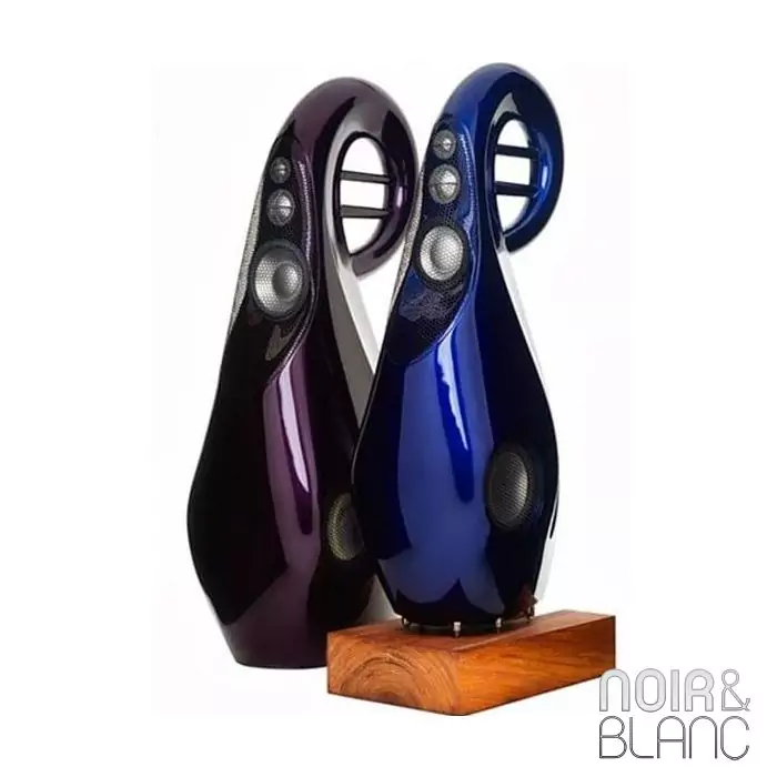 Enceinte colonne Vivid Audio GIYA G4 S2