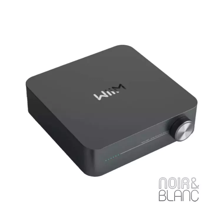 Wiim Amp