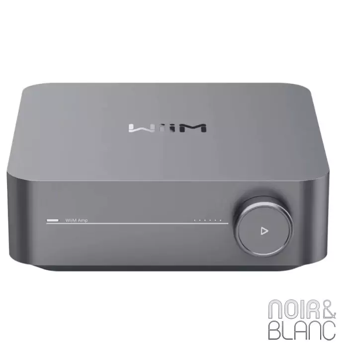 Wiim Amp