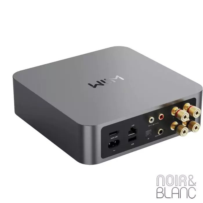 Wiim Amp