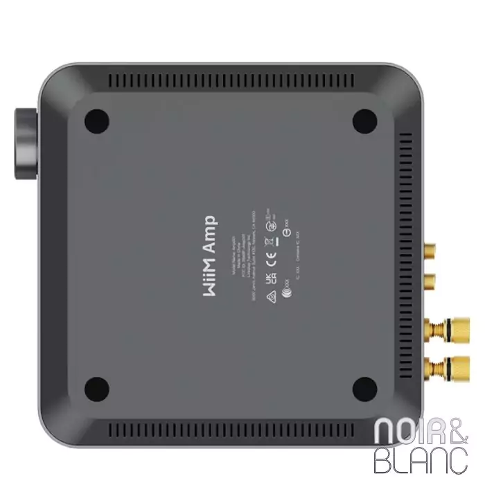 Wiim Amp