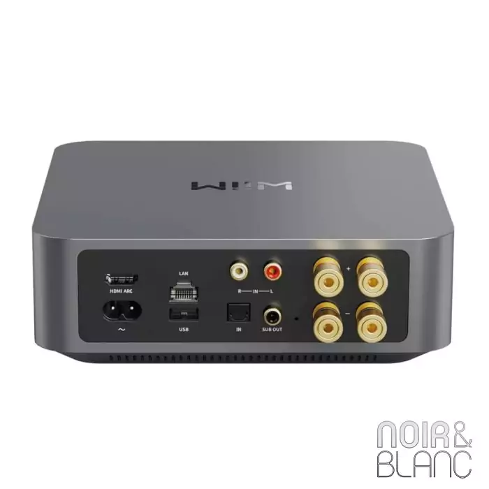 Wiim Amp