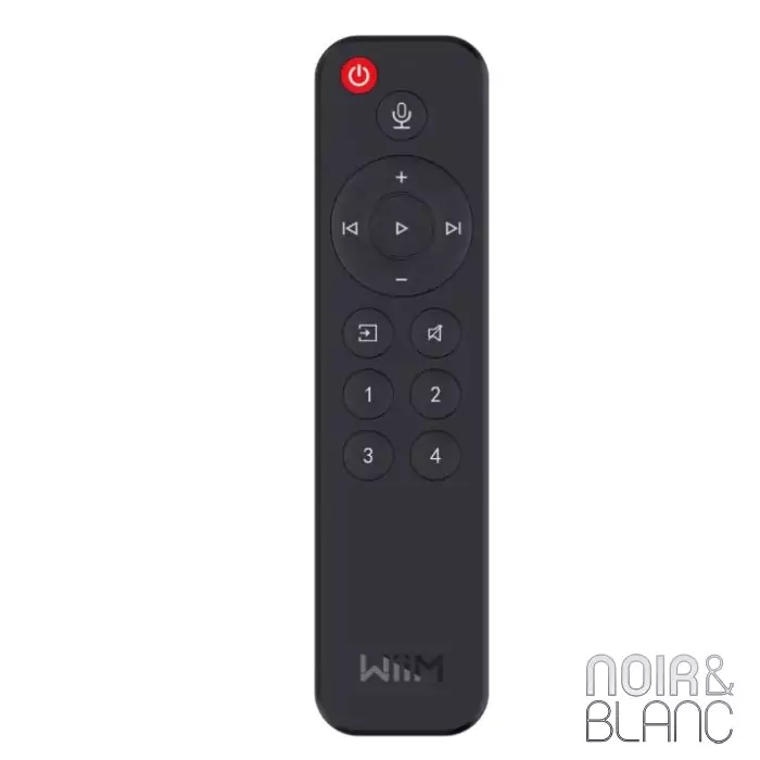 Wiim Voice Remote