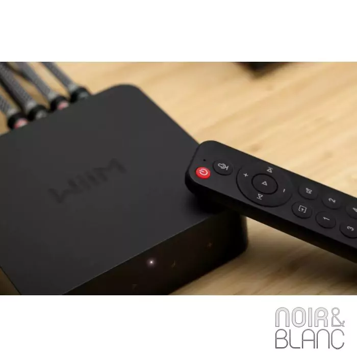 Wiim Voice Remote