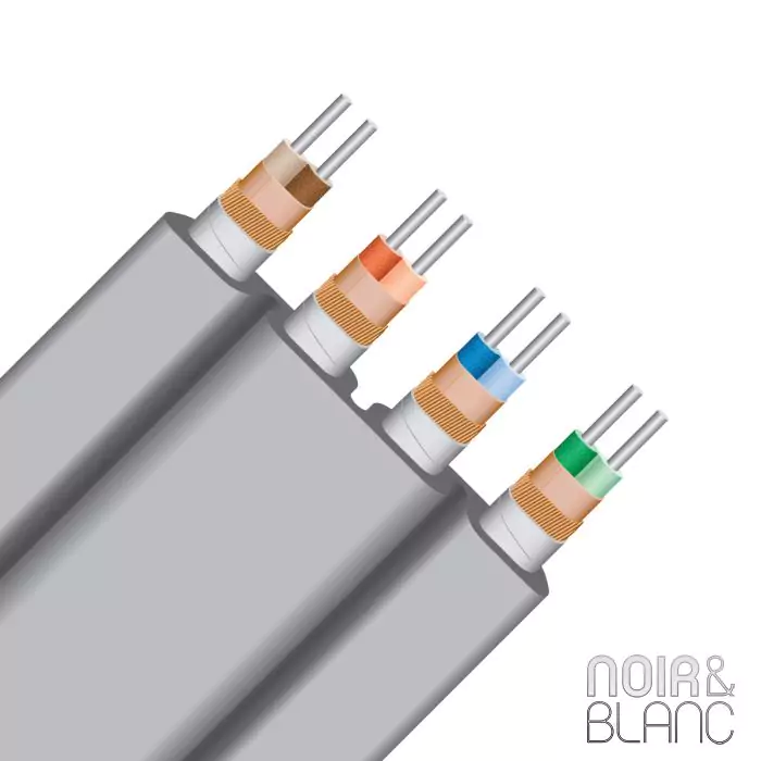 Câble Ethernet Wireworld Platinum Starlight 8 Ethernet