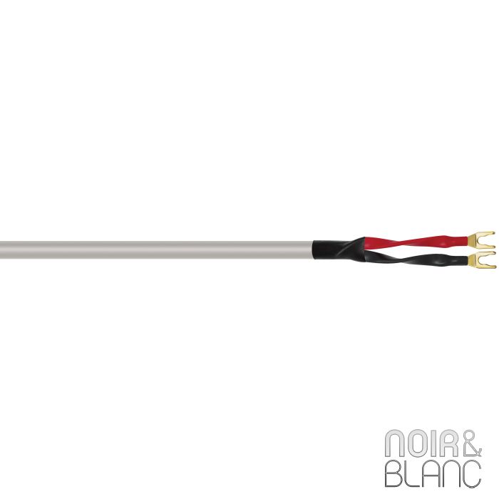 Wireworld Solstice 6 Haut-parleurs main product photo