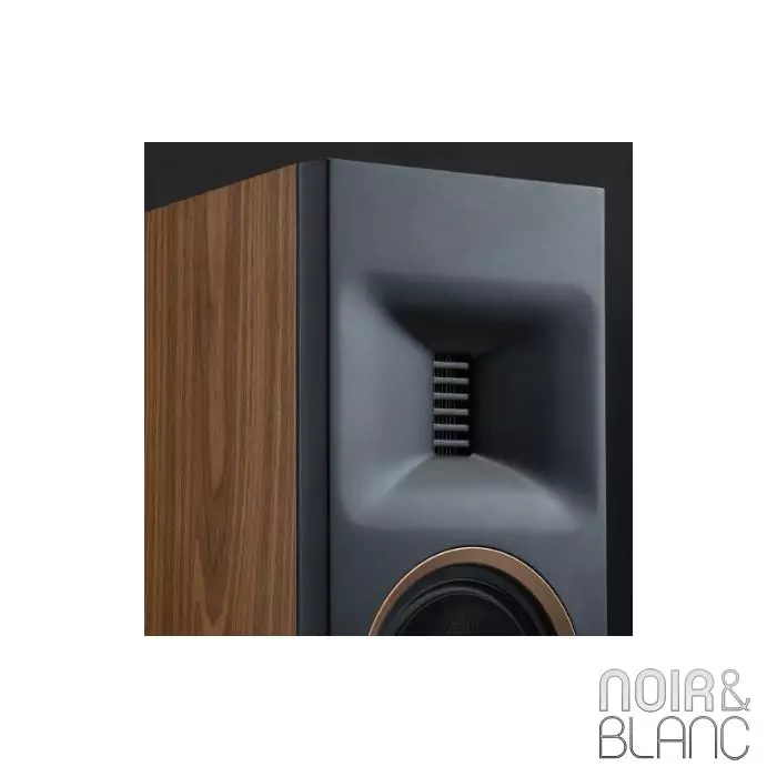 Enceinte colonne Martin Logan Motion XT F100 