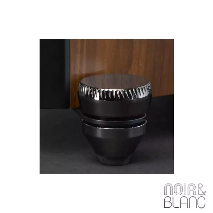 Enceinte colonne Martin Logan Motion XT F100 