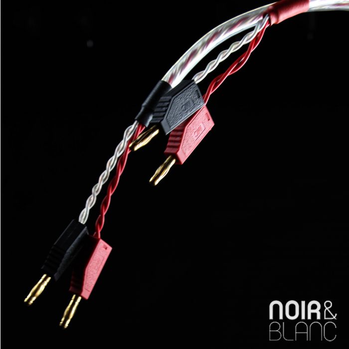 YBA Glass Speaker Cable main product photo