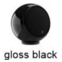Black Gloss
