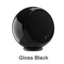 Black Gloss