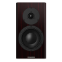 Black Vine High Gloss