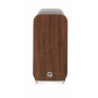 English Walnut