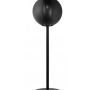 Noir satiné