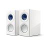 High Gloss White/Blue