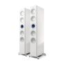 High Gloss White/Blue