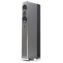 Silver Ebony
