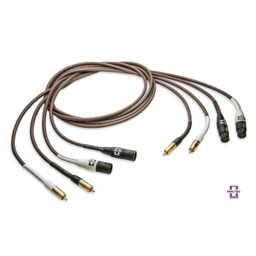 Câble XLR Analysis Plus Chocolate Oval-In
