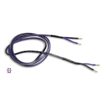 Câble haut-parleur Analysis Plus Clear Oval 
