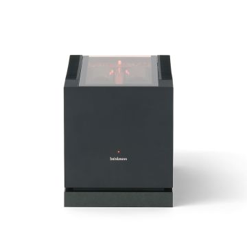 Amplificateur mono Brinkmann Mono Mk II