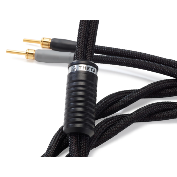 Câble d'enceinte Shunyata Research Theta SP Bi-wire