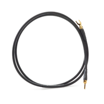 Câble de mise à la terre Shunyata Research Gamma Ground Cable Base