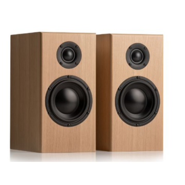 Enceinte bibliothèque Totem Bison Monitor