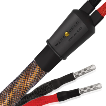 Câble d'enceintes Wireworld Eclipse 10 Haut-Parleurs 