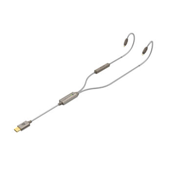 Câble audio iFi Audio GO Cable