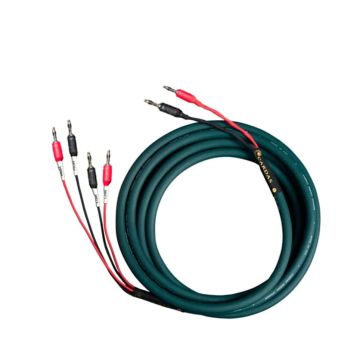 Câble haut-parleur Cardas Parsec Speaker Bi-Wire 
