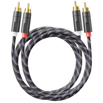 Fiio LR-RCA6