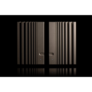 Amplificateur de puissance mono Trilogy 994
