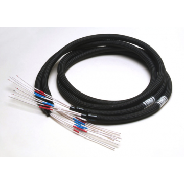 Câble haut parleurs Acoustic Revive SPC Câble HP