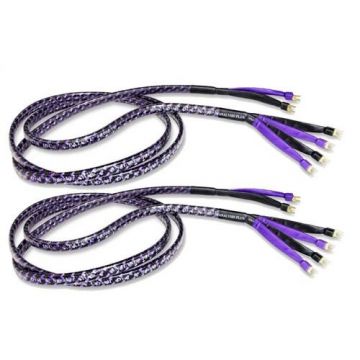 Analysis Plus Bi-Solo Crystal Oval 8