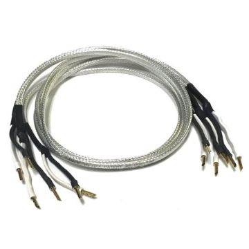 Analysis Plus Bi-Silver Oval 2