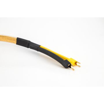 Analysis Plus Golden Oval Jumper