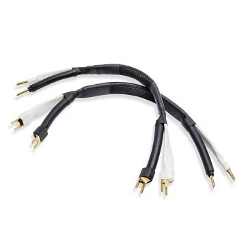 Analysis Plus Silver APEX Jumper 