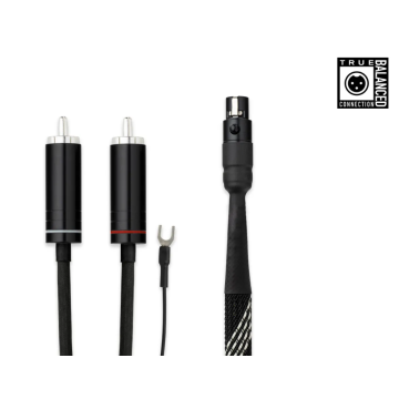 Câble Phono Pro-Ject  Connect it Phono DS RCA/miniXLR